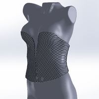 Full 3D printed Corset - Thumbnail 3