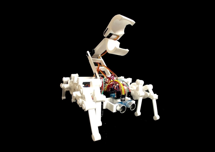 BUGS the Educational Robot 3D Print 270327