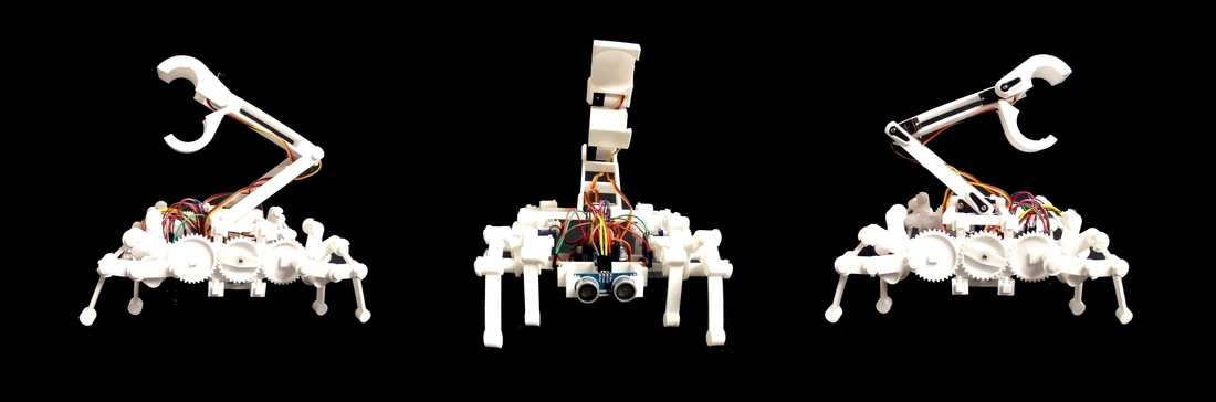 BUGS the Educational Robot 3D Print 270328
