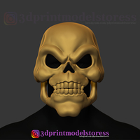 Small Skeletor Mask 1980 He-Man Costume Cosplay Helmet 3D Print Model 3D Printing 270417