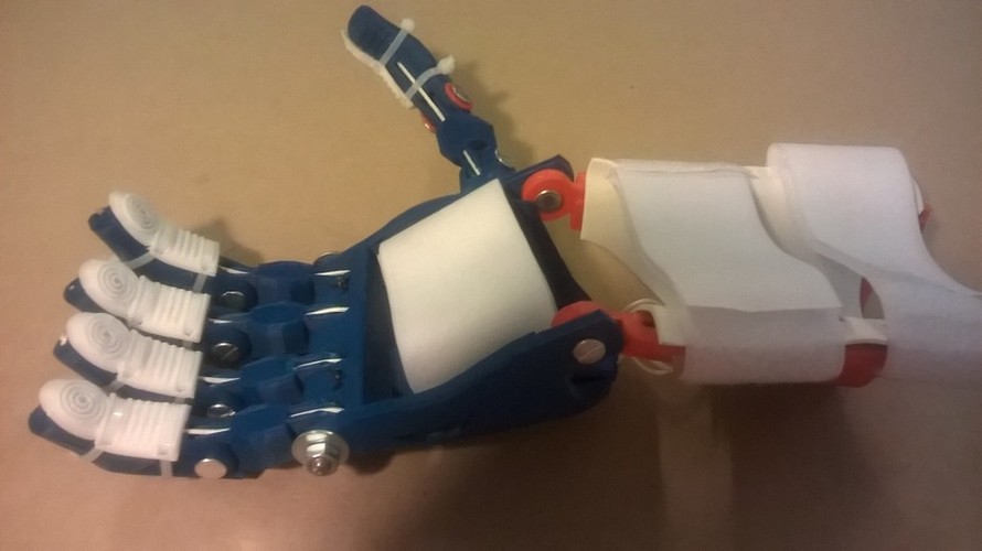 Flexible Filament Fingertip for Prosthetic hands 3D Print 27067