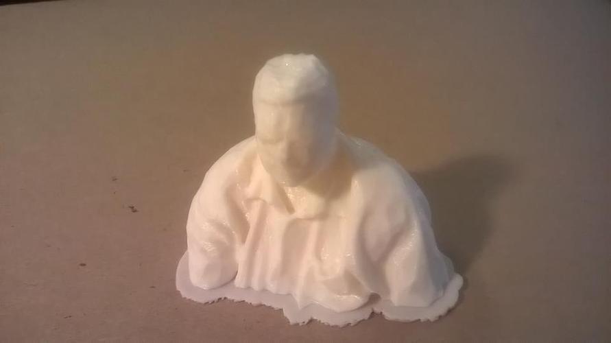 My Skanect Scan of Moi 3D Print 27083