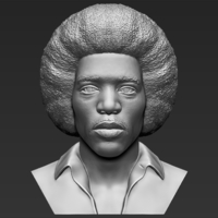 Small Jimi Hendrix bust 3D printing ready stl obj 3D Printing 272744