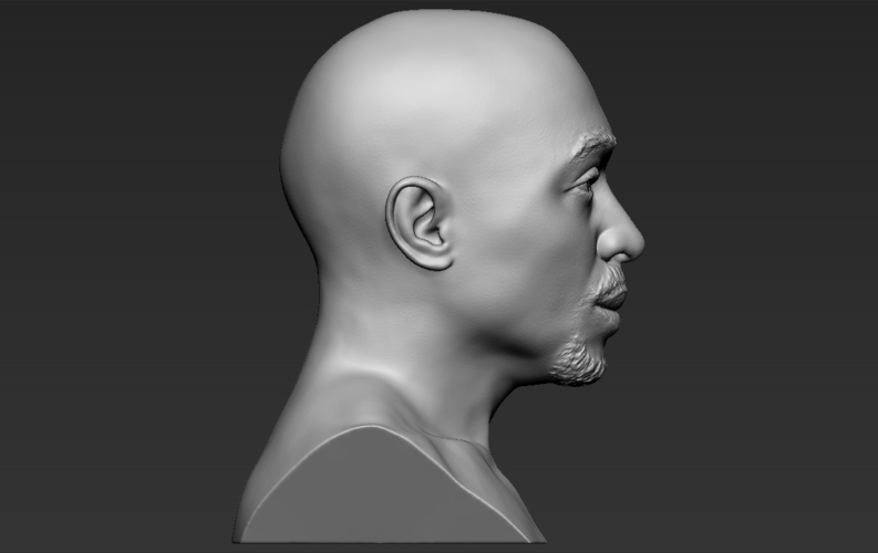 Tupac Shakur bust 3D printing ready stl obj formats 3D Print 274547