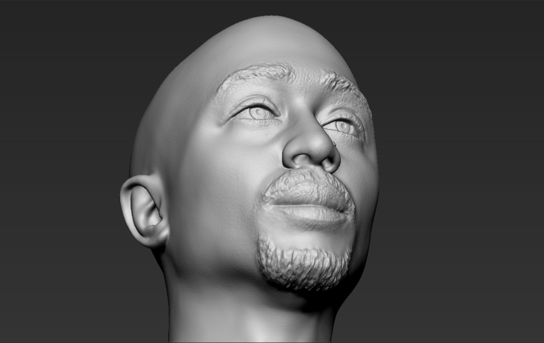 Tupac Shakur bust 3D printing ready stl obj formats 3D Print 274560