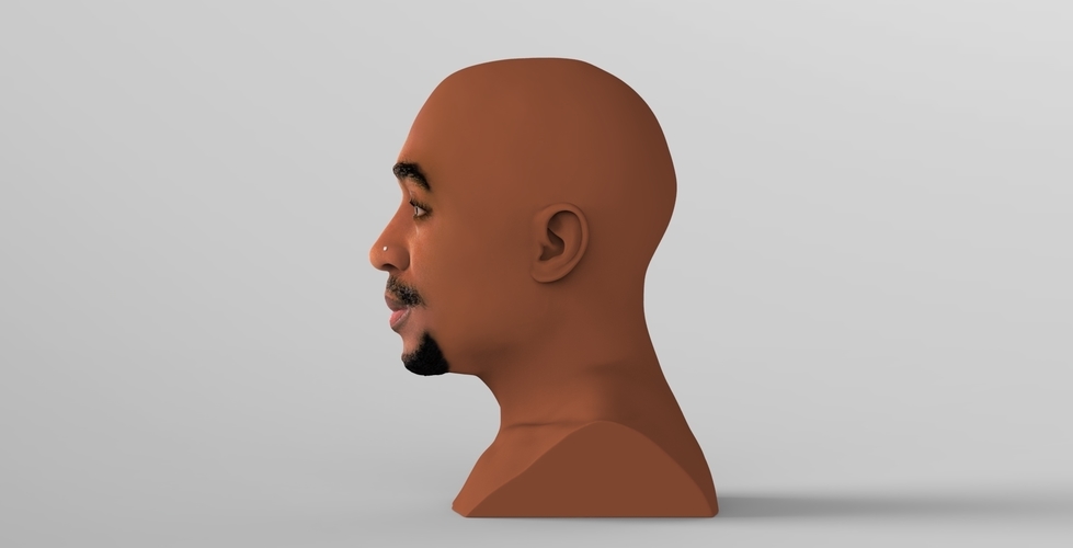 Tupac Shakur bust ready for full color 3D printing 3D Print 274567
