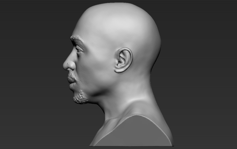 Tupac Shakur bust ready for full color 3D printing 3D Print 274579