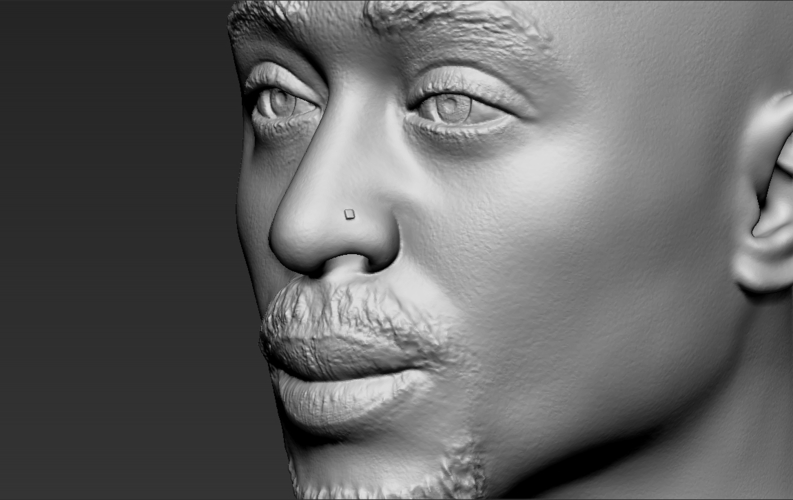 Tupac Shakur bust ready for full color 3D printing 3D Print 274586