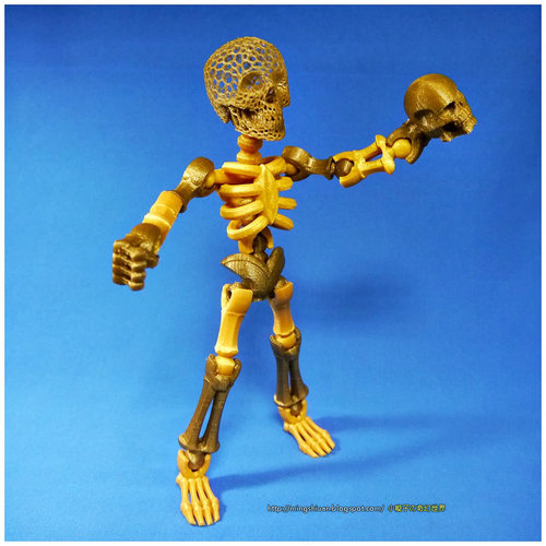 Tinkerplay Skeleton 3D Print 27589