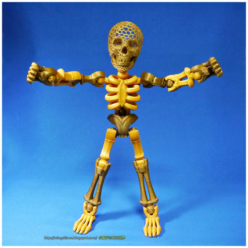Tinkerplay Skeleton 3D Print 27590