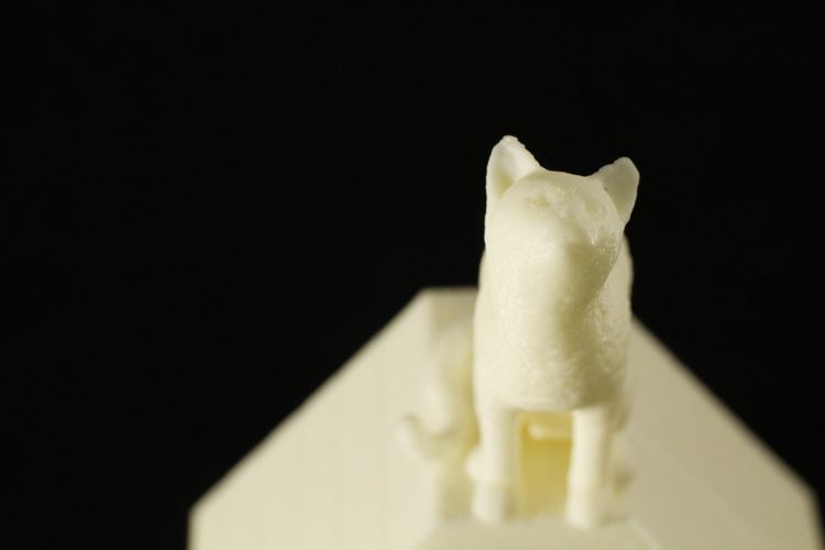 Cat on a Ring Box 3D Print 28050