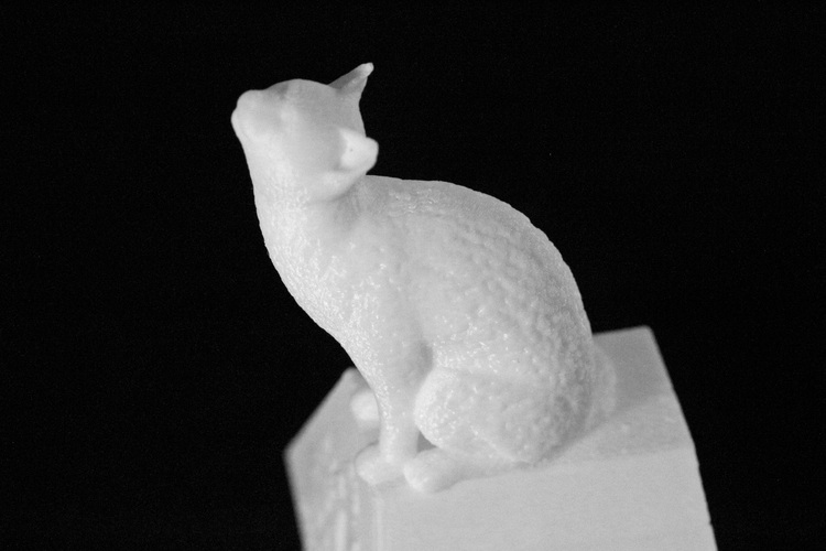 Cat on a Ring Box 3D Print 28052