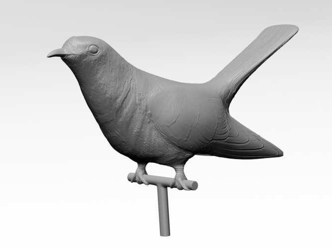 Cuckoo 3D Print 282477