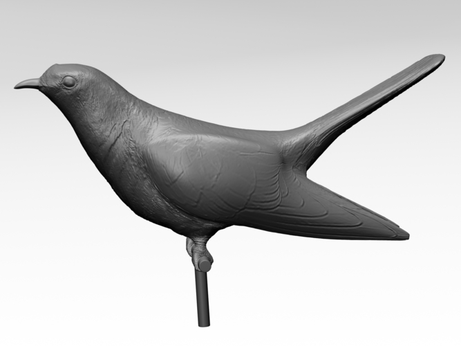 Cuckoo 3D Print 282479
