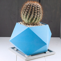 Small Spikey Planter 3D Printing 285228
