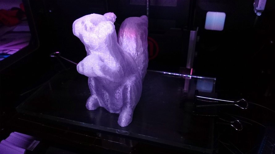 Squirrel Scan 3D Print 30180