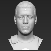 Small Gladiator Russell Crowe bust 3D printing ready stl obj formats 3D Printing 309348