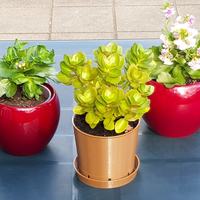 Small Classic Brown Plant Pot & Water Dish 3D Printing 313840