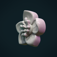 Apple flower - Thumbnail 2