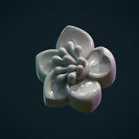 Apple flower - Thumbnail 3