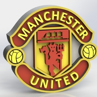 Small Manchester United Logo 3D Printing 316005