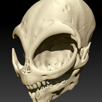 Small Grey Alien Skull  3D Printing 328540