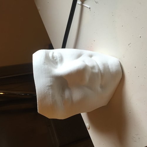 Put a face to it!   3D Print 33520