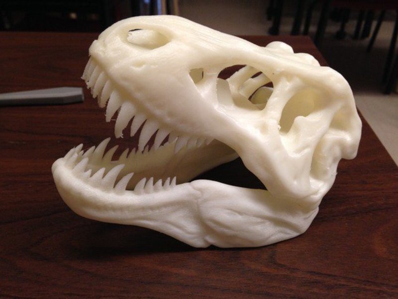 The T-Rex Skull