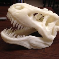 Small The T-Rex Skull 3D Printing 34091