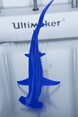 Organic Hammerhead Shark 3D Print 36350 Organic Hammerhead Shark 3D Print 36350