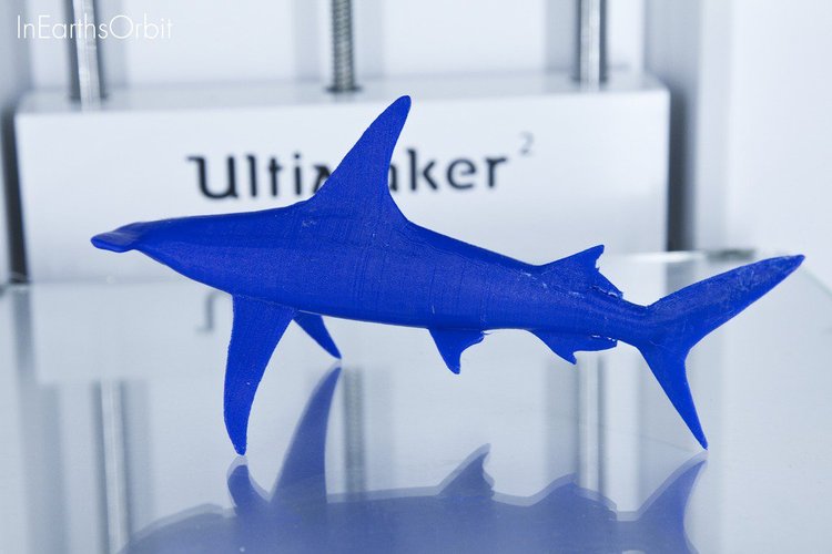 Organic Hammerhead Shark 3D Print 36351 Organic Hammerhead Shark 3D Print 36351