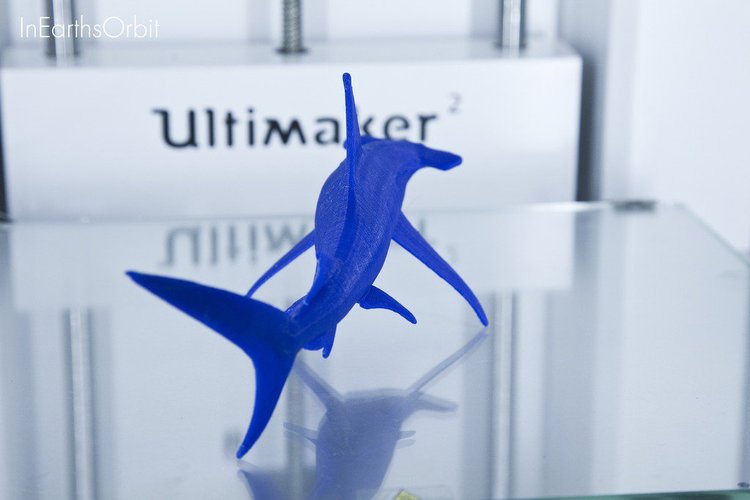 Organic Hammerhead Shark 3D Print 36352 Organic Hammerhead Shark 3D Print 36352