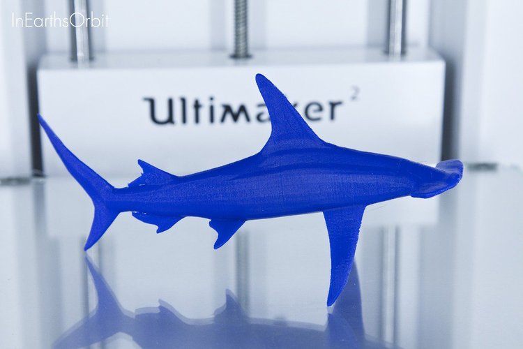 Organic Hammerhead Shark 3D Print 36353 Organic Hammerhead Shark 3D Print 36353