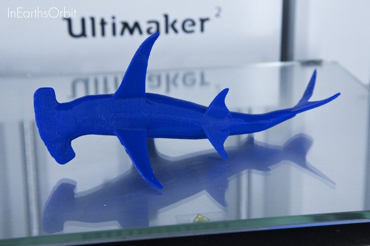 Organic Hammerhead Shark 3D Print 36354 Organic Hammerhead Shark 3D Print 36354