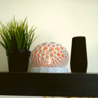 Small Voronoi lamp 3D Printing 392345