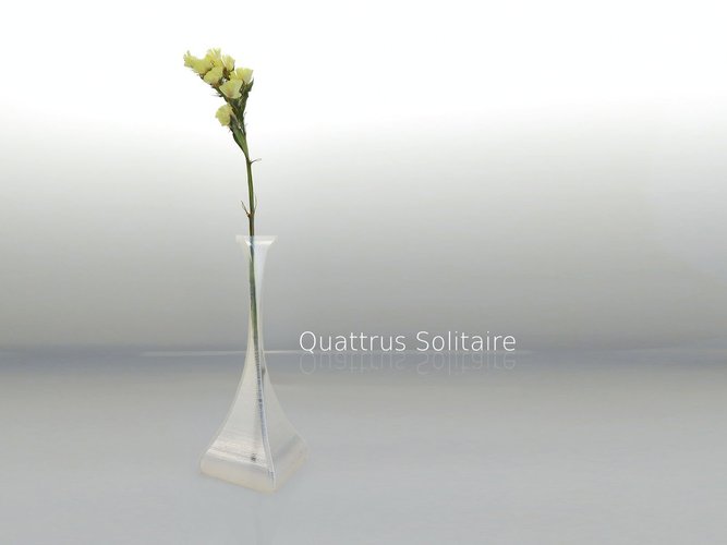 Quattrus Solitaire 3D Print 41824 Quattrus Solitaire 3D Print 41824