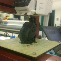 Small human heart anatomical 3D Printing 42204