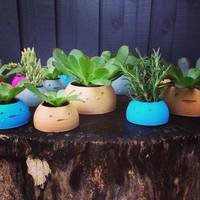 Small Happy Planters- Large 3D Printing 4372