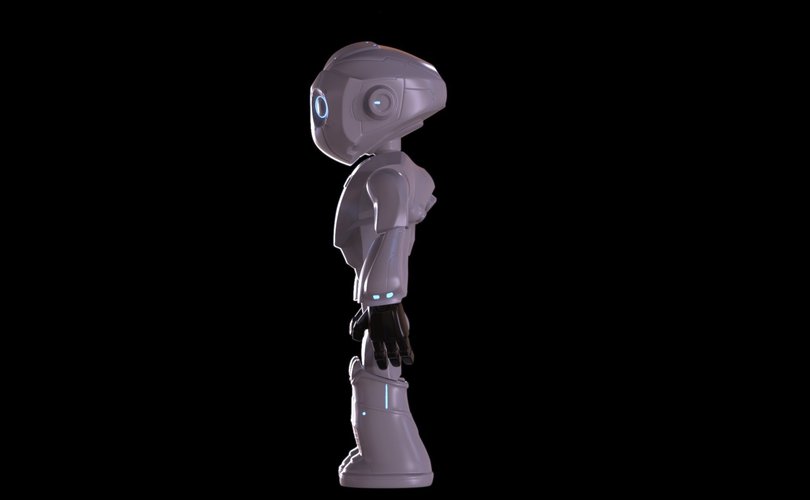 Humanoid Makertron 3D Print 43816