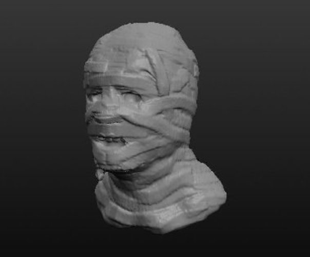 The 'Mummy' 3D Print 44230