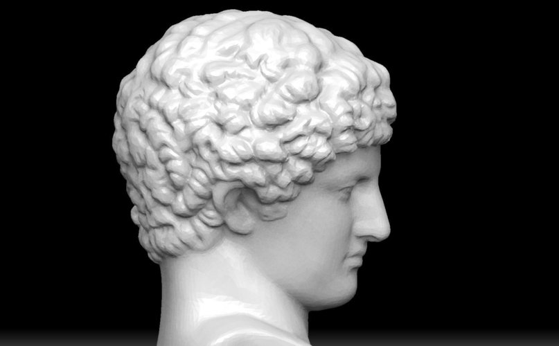 buste romain 3D Print 46987
