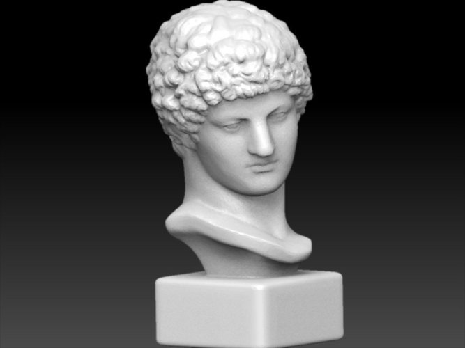 buste romain 3D Print 46989