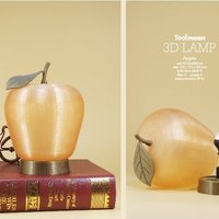 Small Apple lamp 3D Printing 48200