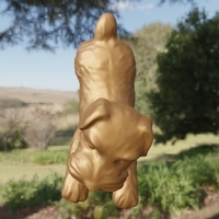 Chien couché - Thumbnail 2