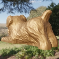 Chien couché - Thumbnail 4