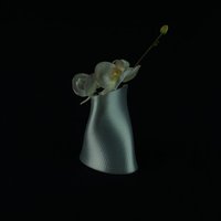 Small Twisted vase v2 3D Printing 51269