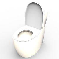 toilet - Thumbnail 5