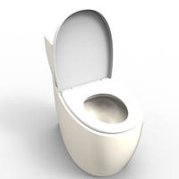 toilet - Thumbnail 6