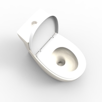 toilet - Thumbnail 13