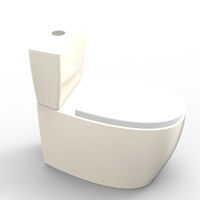 toilet - Thumbnail 15